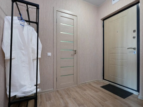 Квартира уютная на Титова 255/2