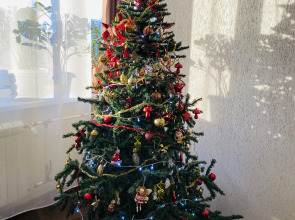 Апартаменты на Морской набережной