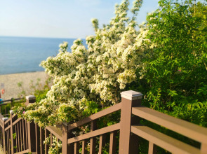 Апартаменты в Резиденции у Моря в двух минутах до моря