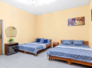 Частный дом с огороженной территорией от посторонних глаз