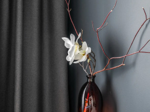 Квартира Уютная на Аптекарском 18