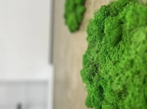 Апартаменты Skazka Green House 1