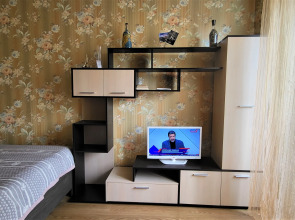 Апартаменты Аскет 66 у парка