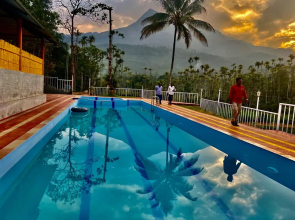 Jungle Valley Resort Wayanad Hotel