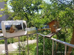 Гостевой дом на Халтурина 4