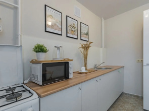 Апартаменты на Звездинке