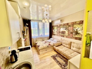 Panorama Kazan Studio Center Apartments 1