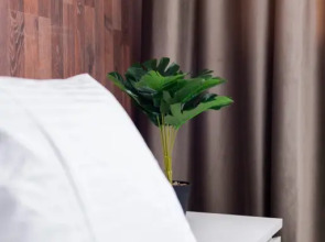 Апартаменты Делюкс Уютные в Подольске