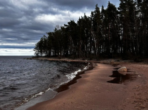 Частный дом Ладожские дюны
