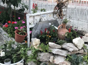 Гостевой дом Зеленый дворик