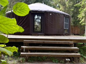 Частный дом Юрта среди сосен