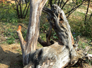 Гостевой Дом Рейд