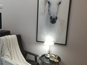 Апартаменты Еsenia Home - White Horce