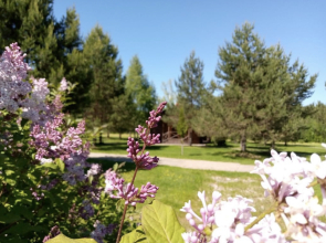 Гостевой дом На Чеснаве