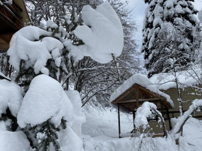 Отель Загородный Лотос