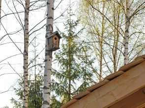 Гостевые дома Усадьба скульптора Эрьзи с фермой