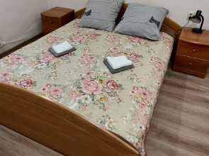 Хостел на Ленинградской