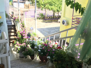 Гостевой дом Зеленый дворик