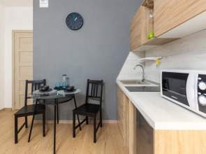 Видовые апартаменты RoomyRoom City lights