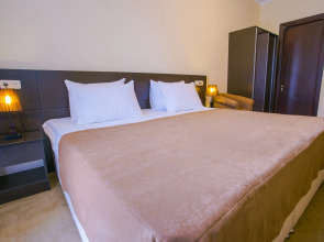 Отель Ani Central Inn