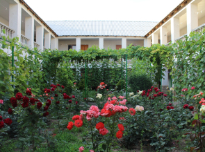 Solnechnaya Orkhideya Guest house