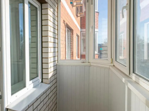 Апартаменты однокомнатные (97) Серебровская 91