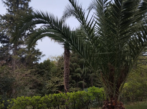 Санаторий Беларусь