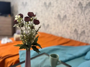 Квартира Rooms 55