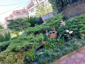 Гостевой дом Фонтан