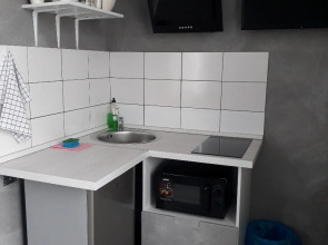 Отель Гостиница Платина