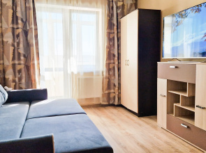 Solnechny 3-91 Apartments