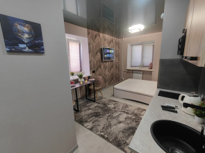Apartamenty Potrasausaa studia naprotiv terminala v centre Neftanikov