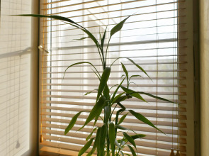 Апартаменты c Балконом Два Ангела