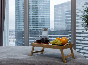 Апартаменты с видом на башни Москва-Сити 35_3