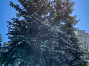 Гостевой дом Guesthouse