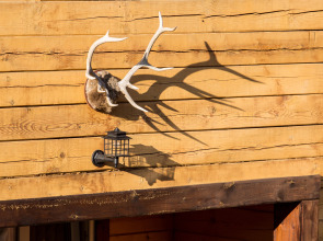 Отель Даурия