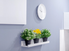 Апартаменты Папай и Оливия