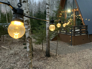 Частный дом A-фрейм в лесу Зеленого города