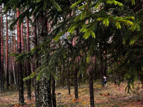 Частный дом Ладожские дюны