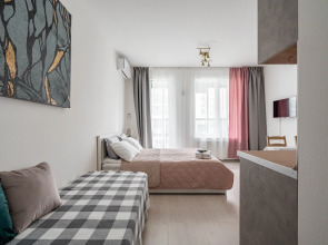 Квартира Светлановский Студия