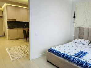 Апартаменты Ailin apartments 354