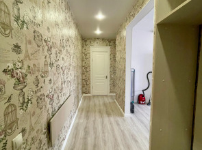 Апартаменты Лес и Шишки