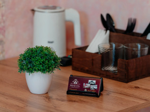 Меблированные комнаты Мишель