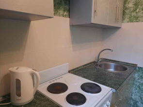 Уютная квартира на Московском проспекте 100