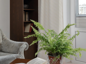 Квартира на Космодемьянских