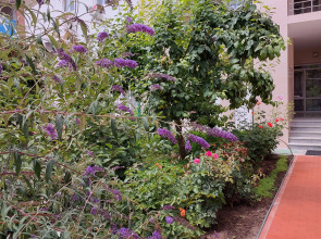 Гостевой Дом Отдых у Александра