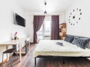 Апартаменты Тихая студия у метро Старая деревня