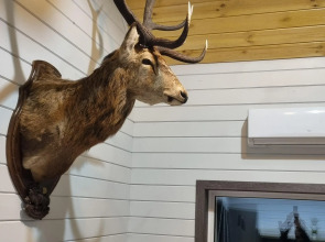 База отдыха Магия Леса