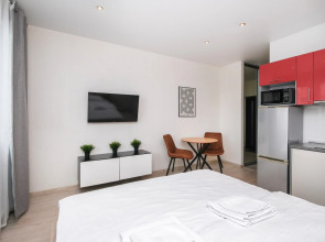 Апартаменты Домант Романова 60/1 (4)