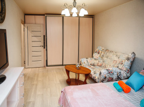 Апартаменты рядом с Кремлём и пл. Свободы Либхнехта 9